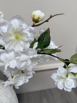 Cherry Blossom, 2 of 3