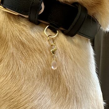 Rose Quartz Owner Necklace And Pet Collar Charm Set, 5 of 7