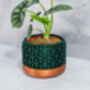 Forest Honeycomb Planter, thumbnail 4 of 4
