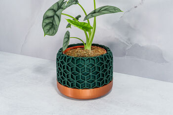 Forest Honeycomb Planter, 4 of 4