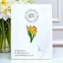 Daffodil Spring Flower Enamel Pin Brooch, thumbnail 1 of 8