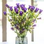 Purple Campanula Fresh Flower Bouquet, thumbnail 1 of 3