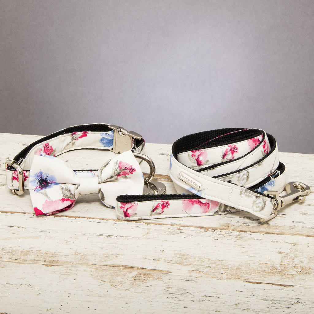 bow tie dog collar and lead