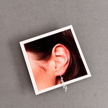 Love Grows Here Sterling Silver Leaf Drop Earrings, 9 of 12