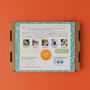 Children's Eco Activity Box: Incredible Insects, thumbnail 3 of 11