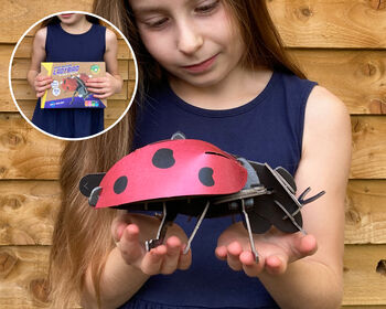 Build Your Own Ladybird, 2 of 12
