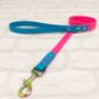 Waterproof Dog Collar And Lead Set Electric Pink/Lagune, thumbnail 3 of 3