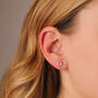 Little Starburst Stud Earrings, thumbnail 4 of 4