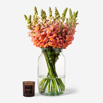 Honey Snapdragon Fresh Bouquet, 2 of 4