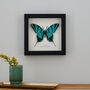 Personalised Papercut 3D Butterfly Framed Print Gift, thumbnail 1 of 9