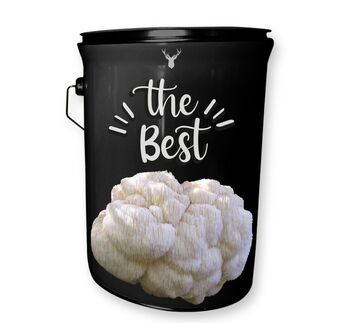 'The Best' Lion's Mane Mushroom Grow Kit, 4 of 4