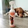 Rinse Free Deodorising Dog Spray Tutti Frutti, thumbnail 1 of 2