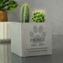 Personalised Memorial Concrete Pot For Pets, thumbnail 3 of 3