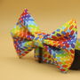 Geometric Rainbow Dog Bow Tie, thumbnail 1 of 5