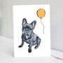 Blue Frenchie Birthday Card, thumbnail 1 of 3