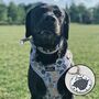 Dog Breed Personalised Pet ID Tag, thumbnail 10 of 12