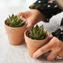 Couples Set Of Two Personalised Terracotta Plant Pots, thumbnail 3 of 5