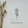 'Aster' Greetings Card, thumbnail 3 of 4