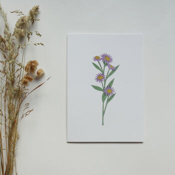 'Aster' Greetings Card, 3 of 4