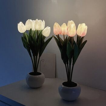 Tulip Light, 3 of 7