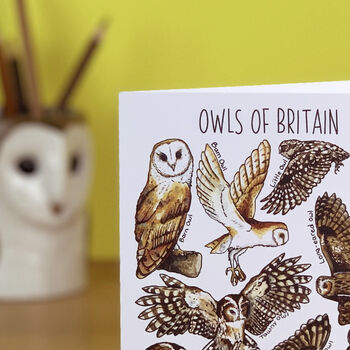 Owls Of Britain Art Blank Greeting Card, 2 of 5
