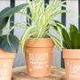 Bloom Where You Are Planted Terracotta Plant Pot, thumbnail 1 of 3