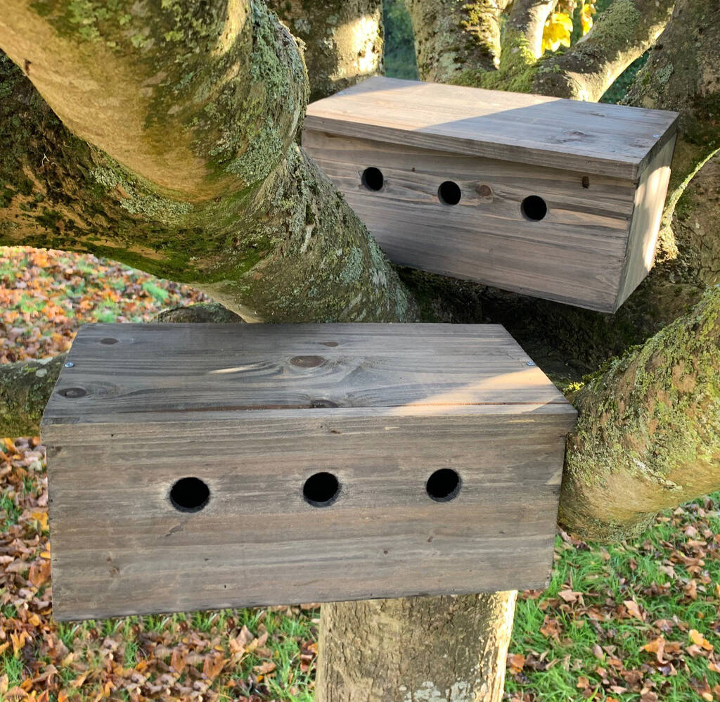 Set Of Two Sparrow Colony Wooden Nesting Boxes By Garden Selections ...