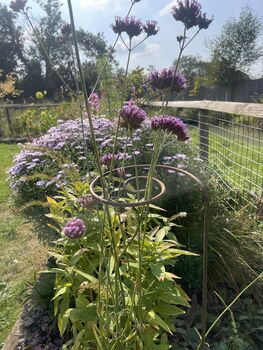 Large Pigtail Plant Support, 2 of 4