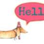 Hello Sausage Dog Greeting Card, thumbnail 2 of 4