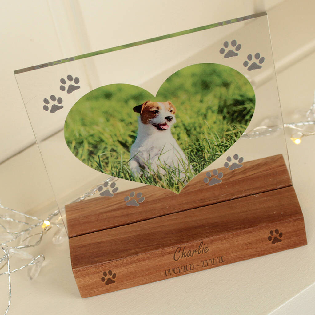 Personalised Pet Memorial Acrylic Photo By Dreams To