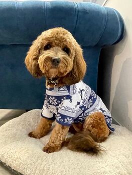 Matching Family Christmas Pyjamas Navy | Christmas Eve P Js For The Whole Family, 6 of 11