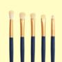 Make Up Brushes In Star Travel Case Gift Five Brush Set, thumbnail 2 of 5