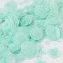 Mint Wedding Confetti | Biodegradable Paper Confetti, thumbnail 3 of 6