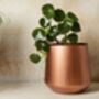 Tamra Copper Floor Planter, thumbnail 3 of 4