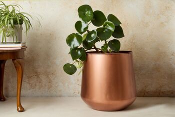 Tamra Copper Floor Planter, 3 of 4