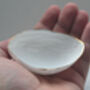 Big Walnut Shells, thumbnail 3 of 4
