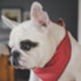 Classic Polka Dot Dog Bandana In Red, Green Or Purple, thumbnail 9 of 12