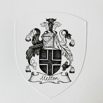 Personalised Family Coat Of Arms Original Illustration, 2 of 6