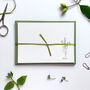Hand Illustrated ‘Spring Flowers’ Flat Notecard Set, thumbnail 2 of 8