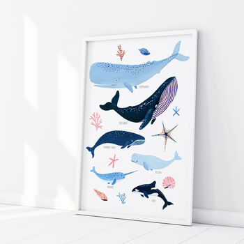Whale Species Art Print, 5 of 7