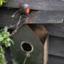 Recycled Metal Robin Classic Bird House, thumbnail 2 of 2