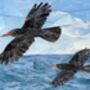 Cornish Choughs At Lizard Point Greeting Card, thumbnail 6 of 7