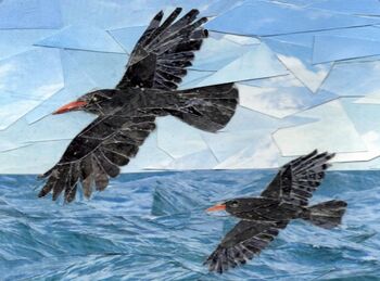 Cornish Choughs At Lizard Point Greeting Card, 6 of 7