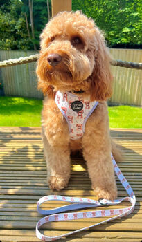 Rusty Bear Dog Harness, 4 of 11