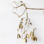 Gold Mistletoe Spray With White Berries, thumbnail 1 of 5