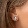 Swarovski Crystal Stud Earrings, thumbnail 1 of 6