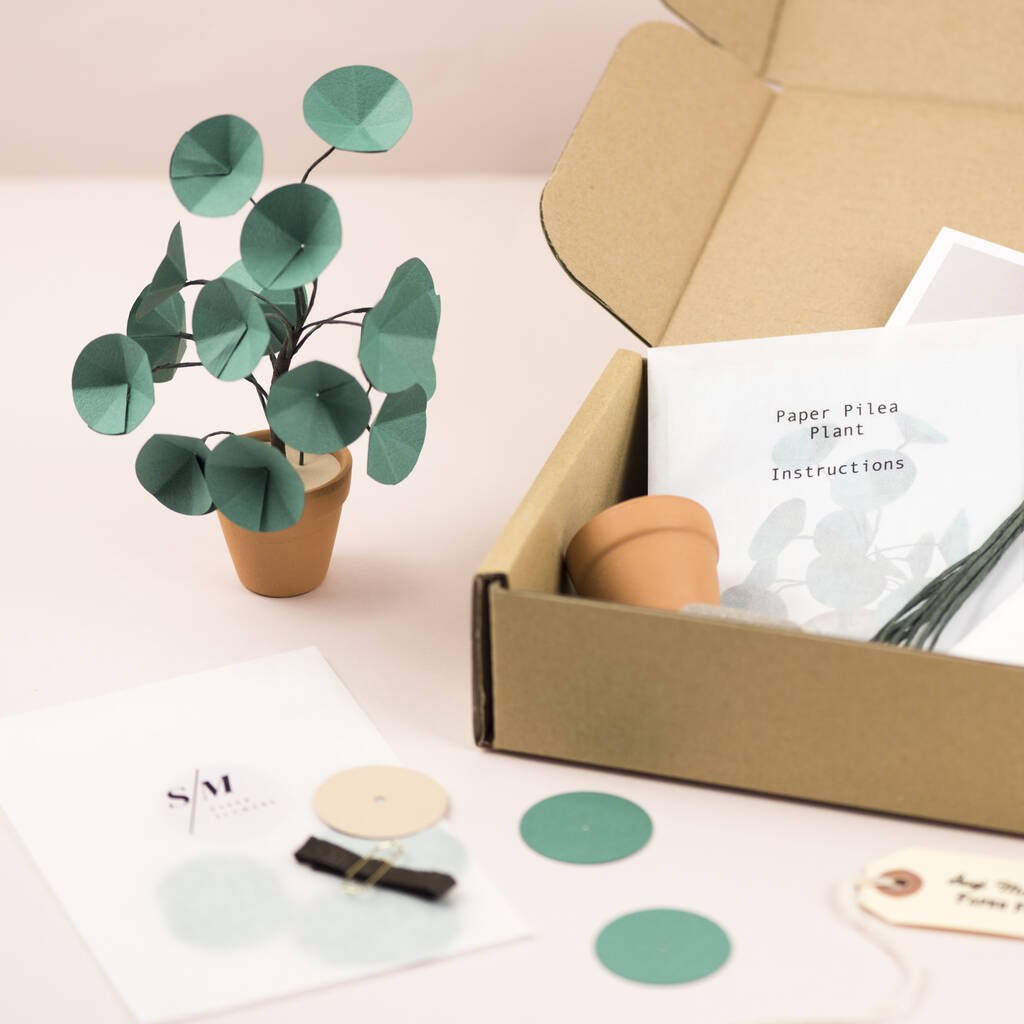 Make Your Own Paper Pilea Plant Craft Kit By Suzi Mclaughlin