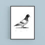 Pigeon A5 Linocut Print By Theodore Roberts, thumbnail 1 of 5