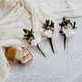 Lola Eucalyptus Dried Flower Wedding Bridal Hair Pins, thumbnail 3 of 3