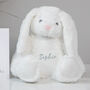Personalised Bunny Soft Toy, thumbnail 1 of 4